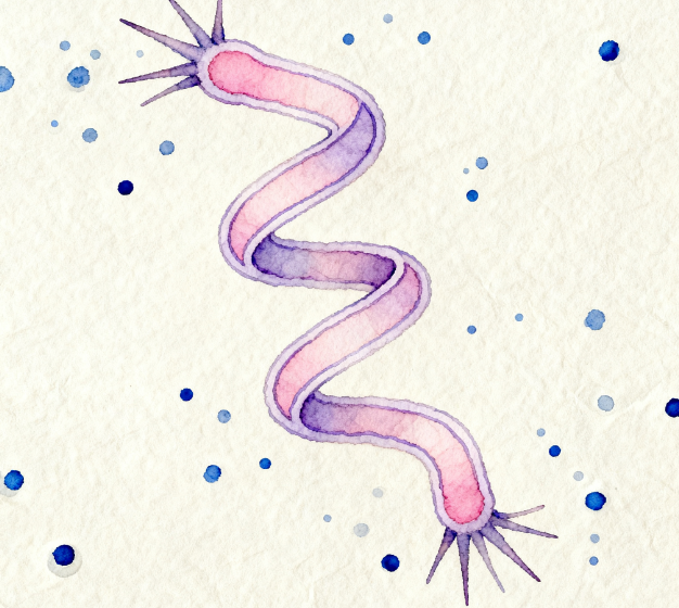 微生物细菌检测仪