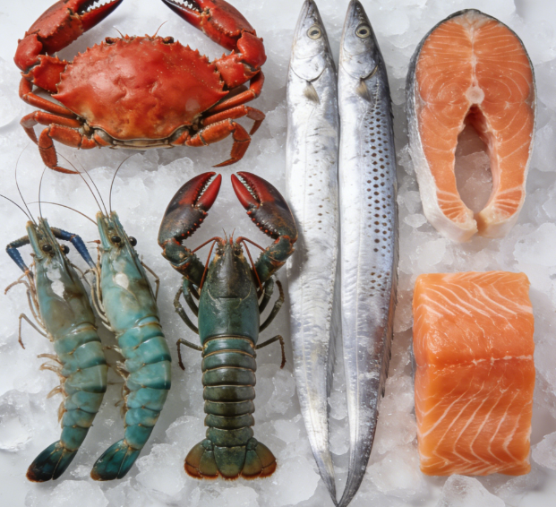 水产品抗生素检测仪