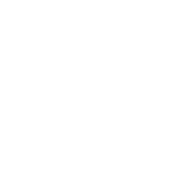 真菌毒素检测仪